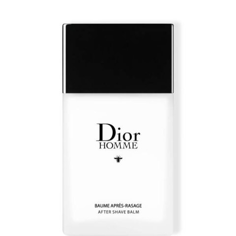 DIOR Homme ASB 100ml (P1)